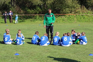 开云在线登入-国际乒联混合团体世界杯：如何评价中国香港队的整体战术执行，香港 乒乓球队  第3张